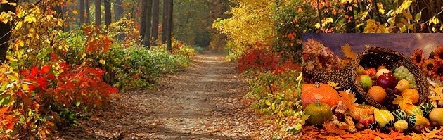 Health and well-being at the rhythm of autumn