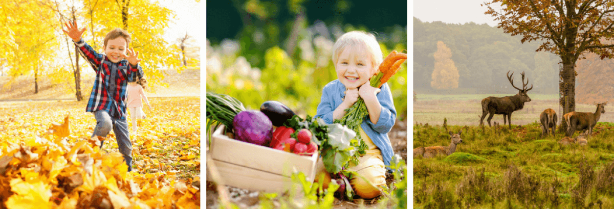 Feng Shui and the 5 Rhythms of Happiness