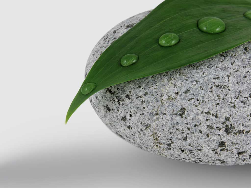 Nível II – Curso Coaching de Macrobiótica